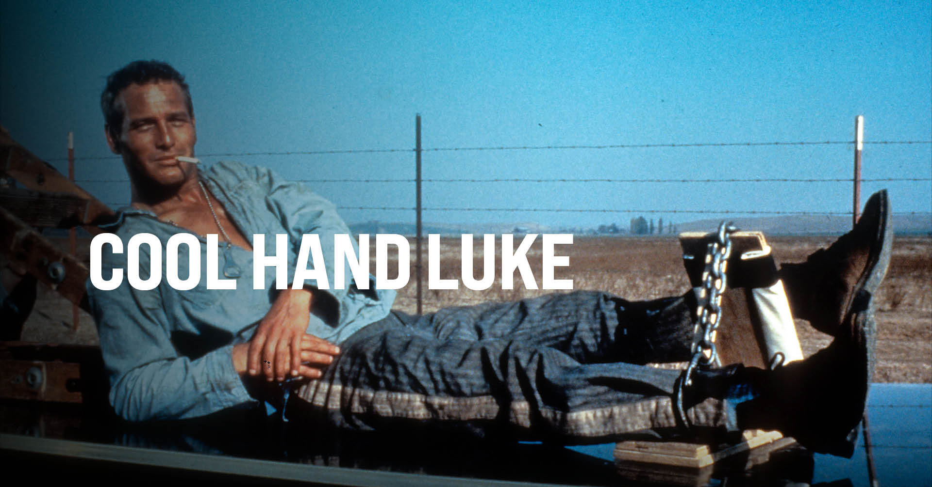 Cool Hand Luke
